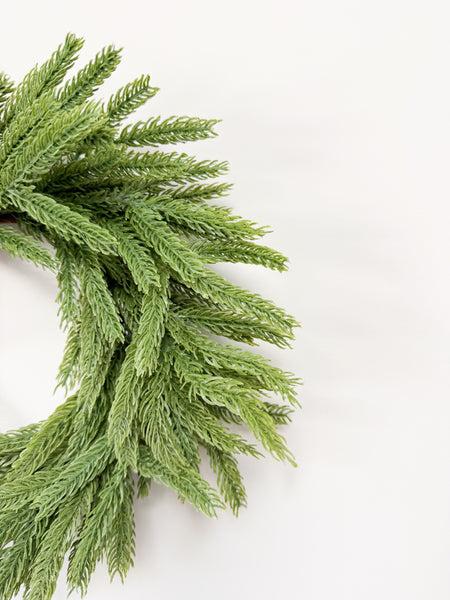 12" Norfolk Pine Mini Wreath
