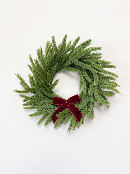 12" Norfolk Pine Mini Wreath